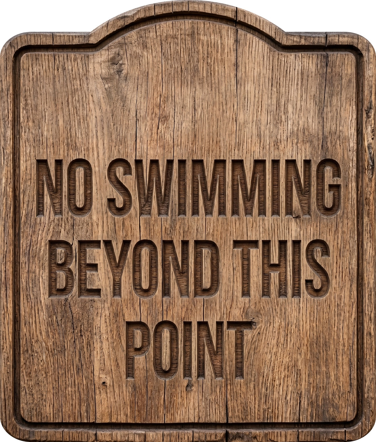 No Swimming Beyond This Point Rustic Sign