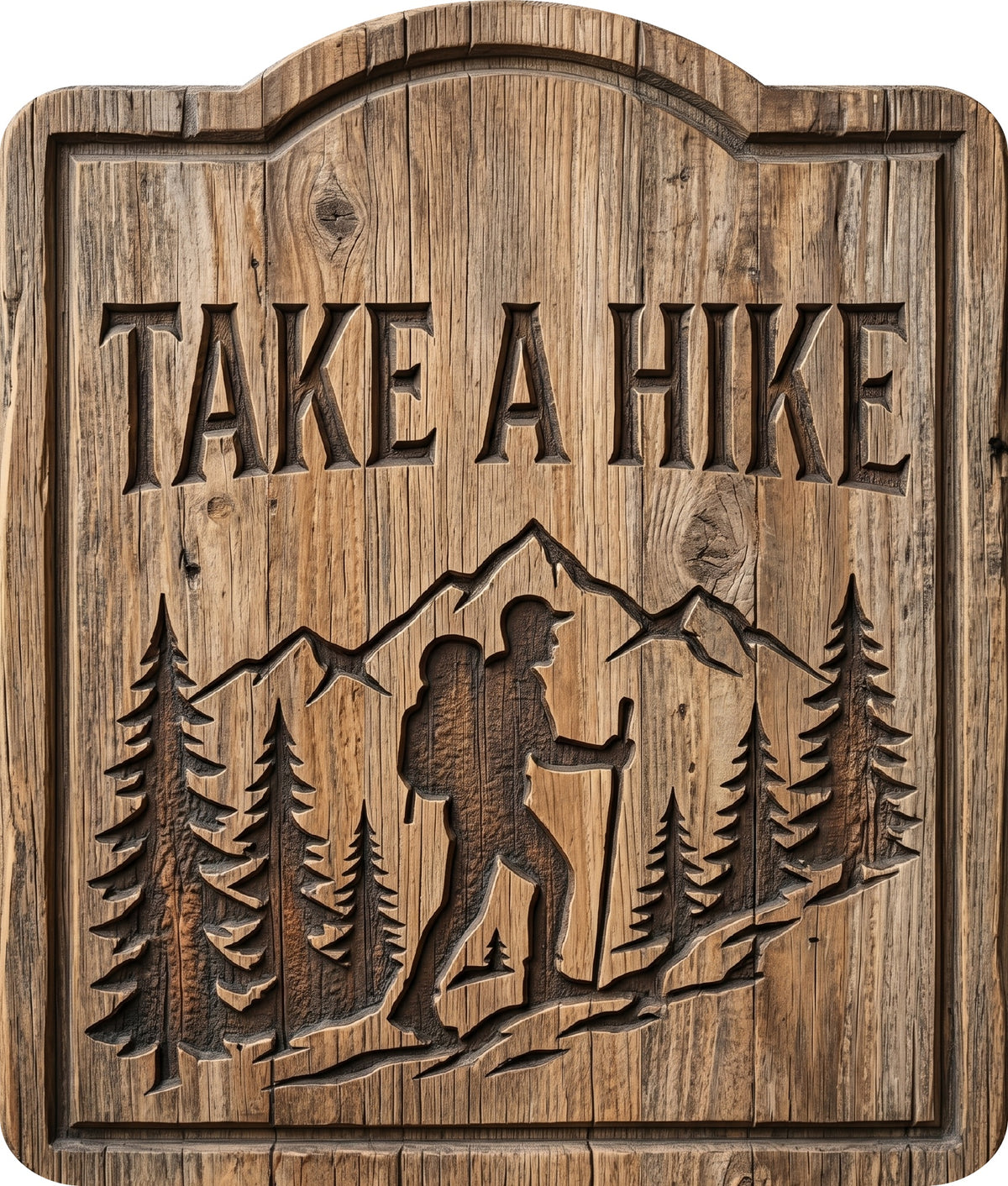 Take a Hike Rustic Sign