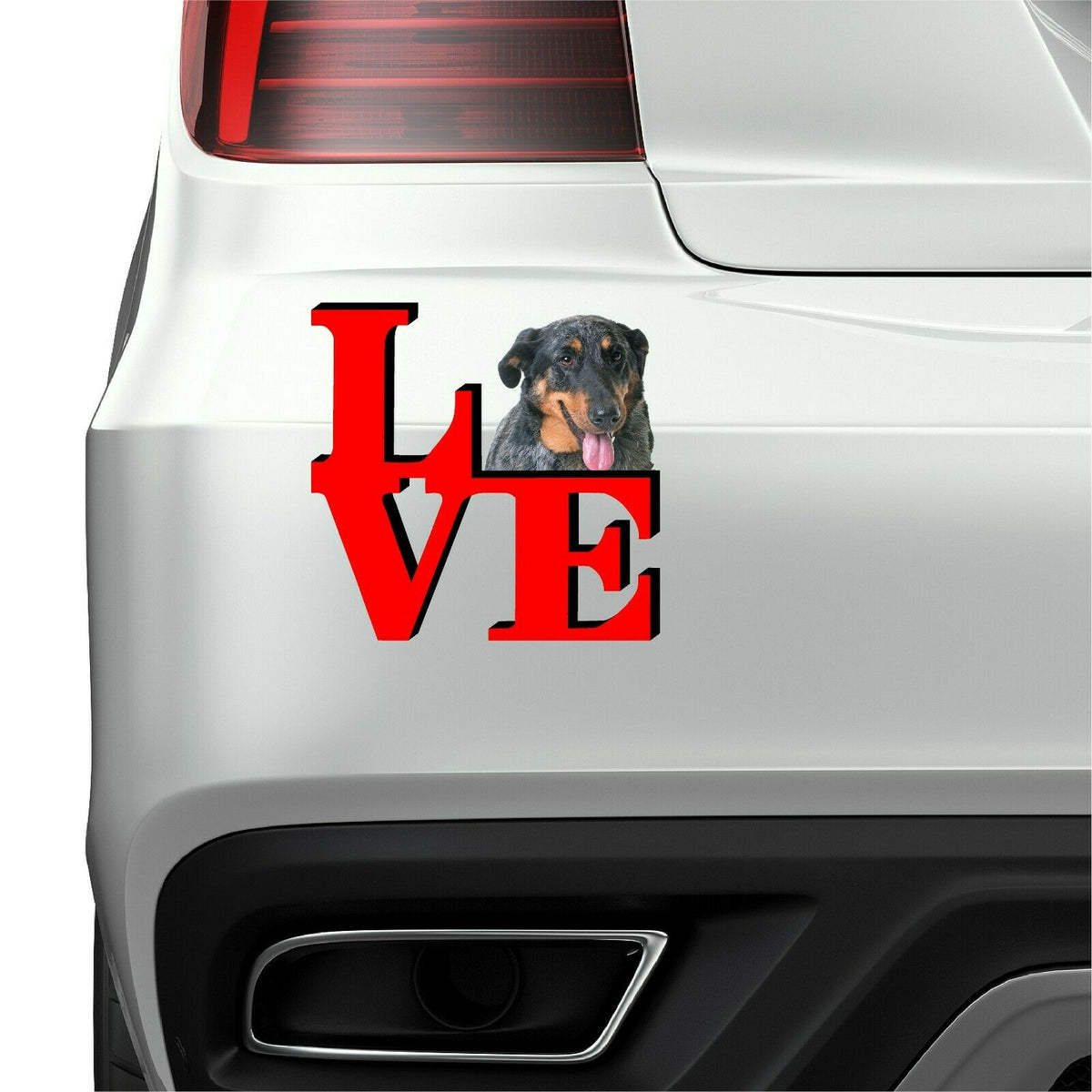 Beauceron Love Park Cute Dog Fridge Refrigerator Car Magnet