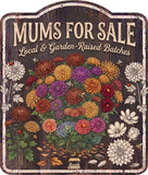 Mums for Sale Rustic Sign