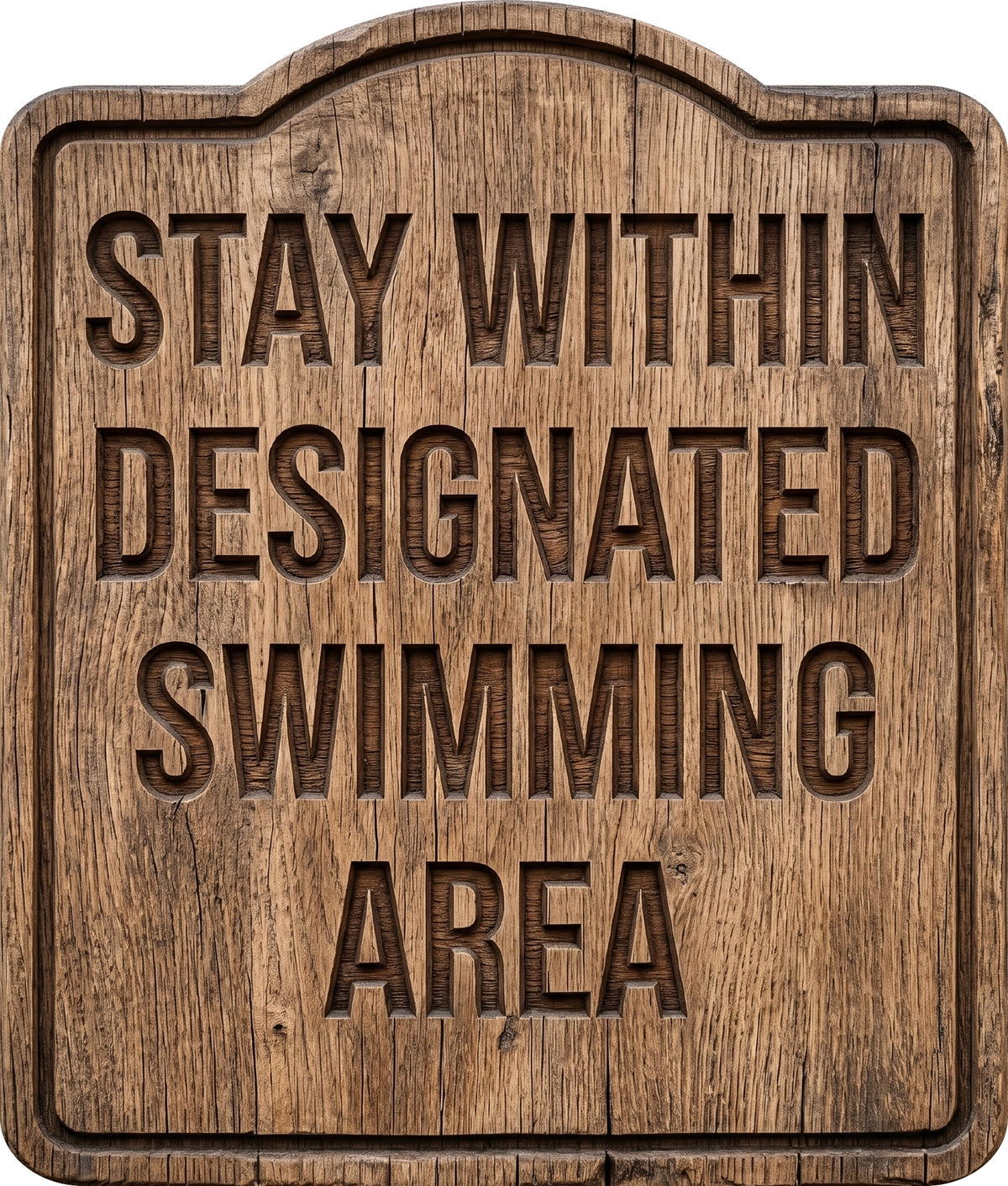 Stay Within Designated Swimming Area Rustic Sign