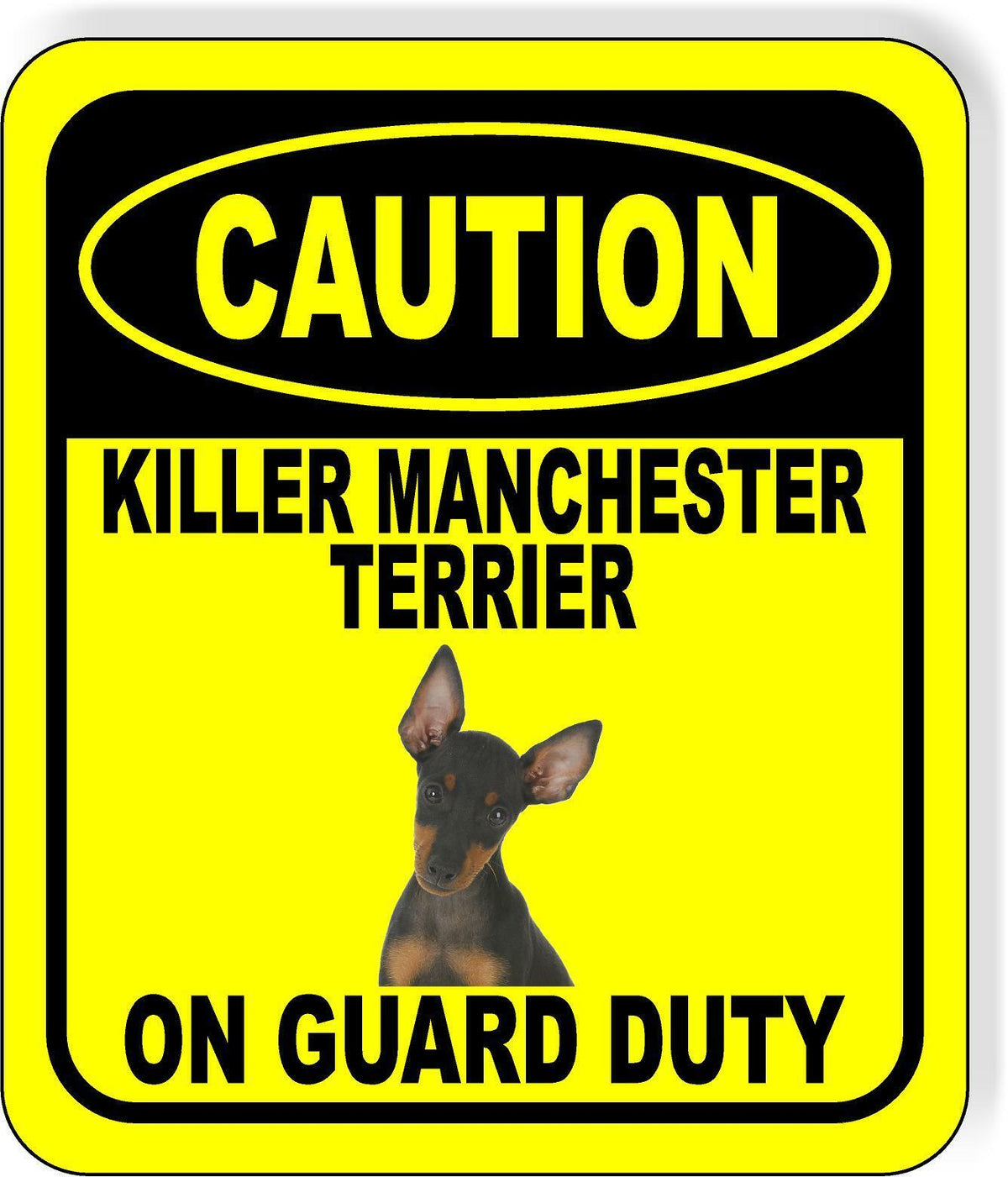 CAUTION KILLER MANCHESTER TERRIER ON GUARD DUTY Metal Aluminum Composite Sign