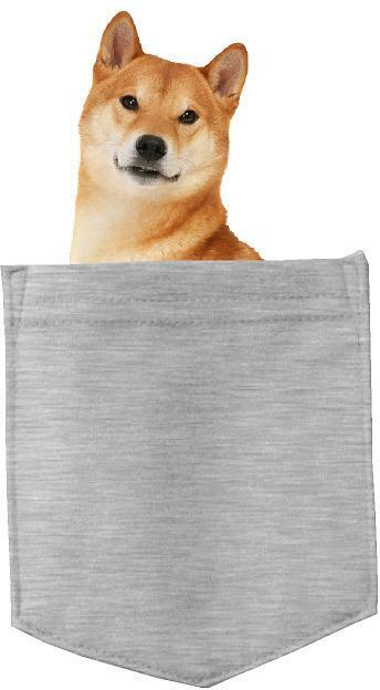 Shiba Inu Dog in pocket Fridge Car Magnet Bumper Sticker App size 4"x7"
