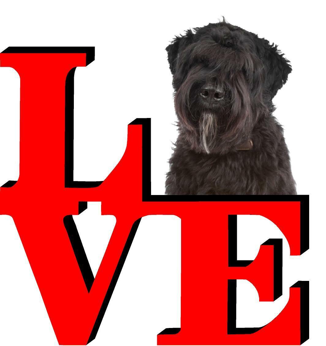 Bouviers Des Flandre Dog Love Park Cute Dog Fridge Refrigerator Car Magnet