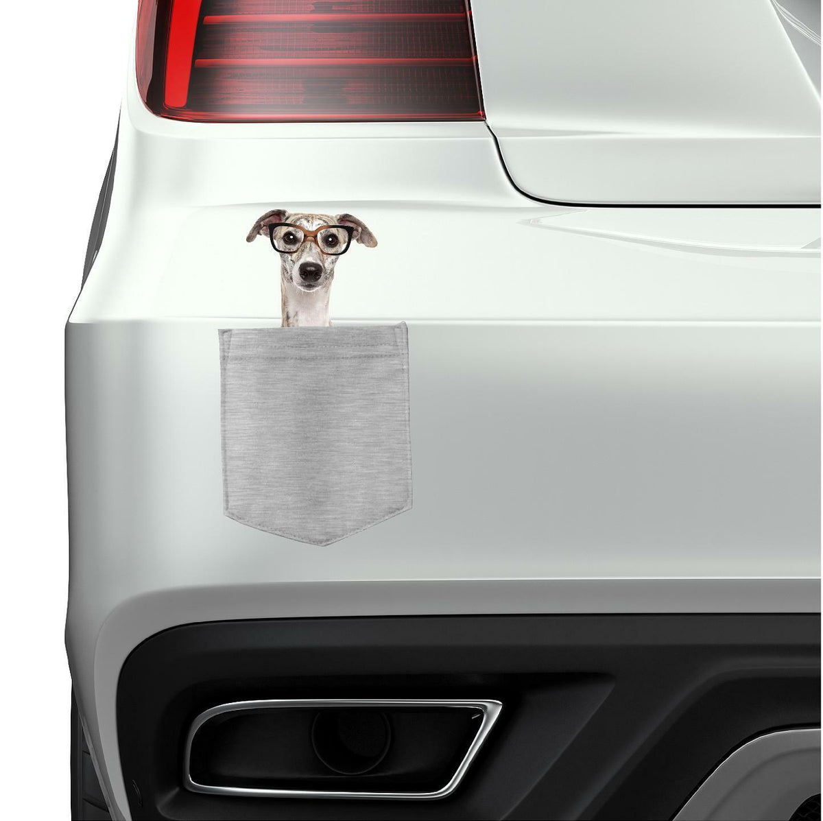 Greyhound with Glasses pocket Fridge Car Magnet Bumper Sticker App size 4"x7"