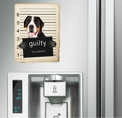 Greater Swiss Mountain Dog Mugshot Bad Dog Fridge refrigerator Car Magnet