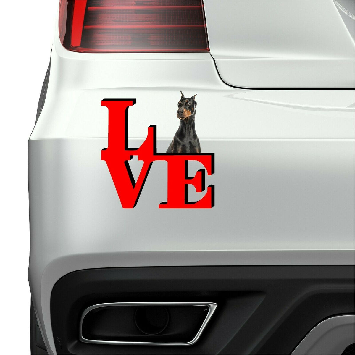 Doberman Pinscher Dog Love Park Dog Fridge Refrigerator Car Magnet