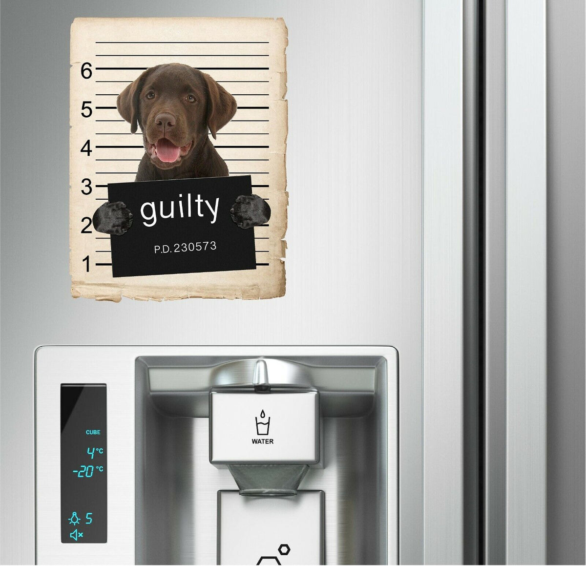 Chocolate Lab Mugshot Bad Dog Fridge refrigerator Car Magnet