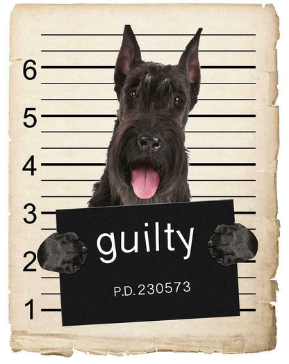 Giant Schnauzer Mugshot Bad Dog Fridge refrigerator Car Magnet