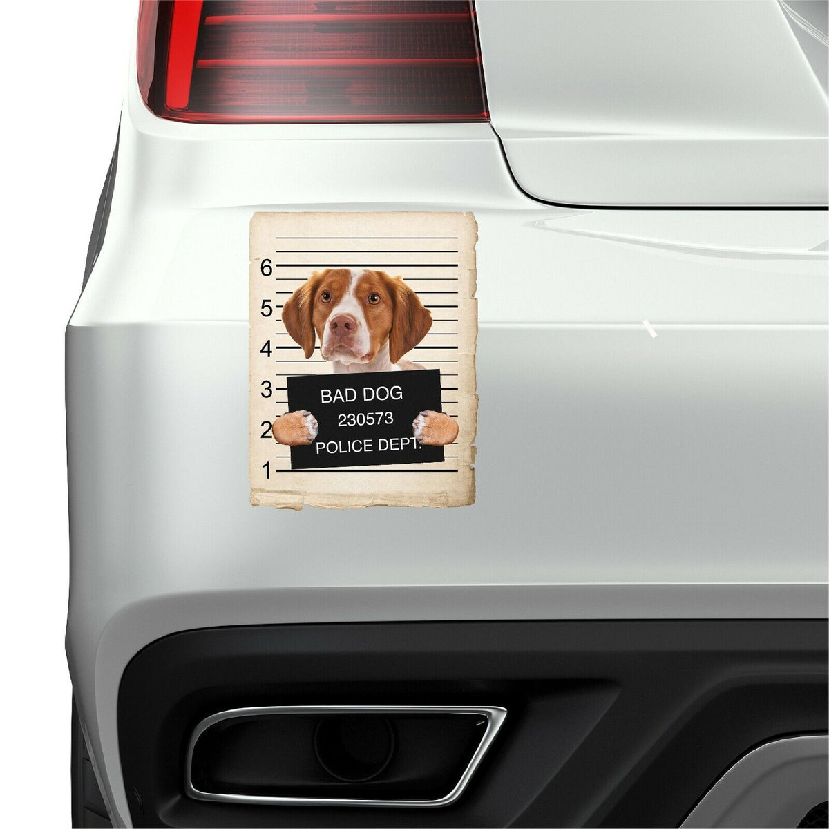 Brittany Mugshot Bad Dog Fridge refrigerator Car Magnet