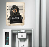 Black and Tan Coonhound Mugshot Bad Dog Fridge refrigerator Car Magnet