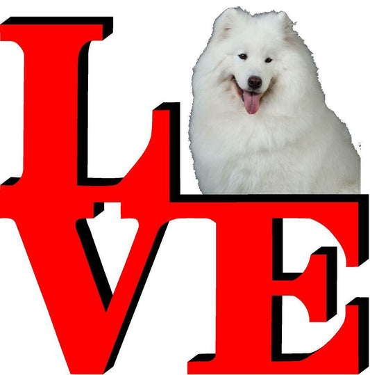Samoyed Cute Dog Fridge Refrigerator Car Magnet