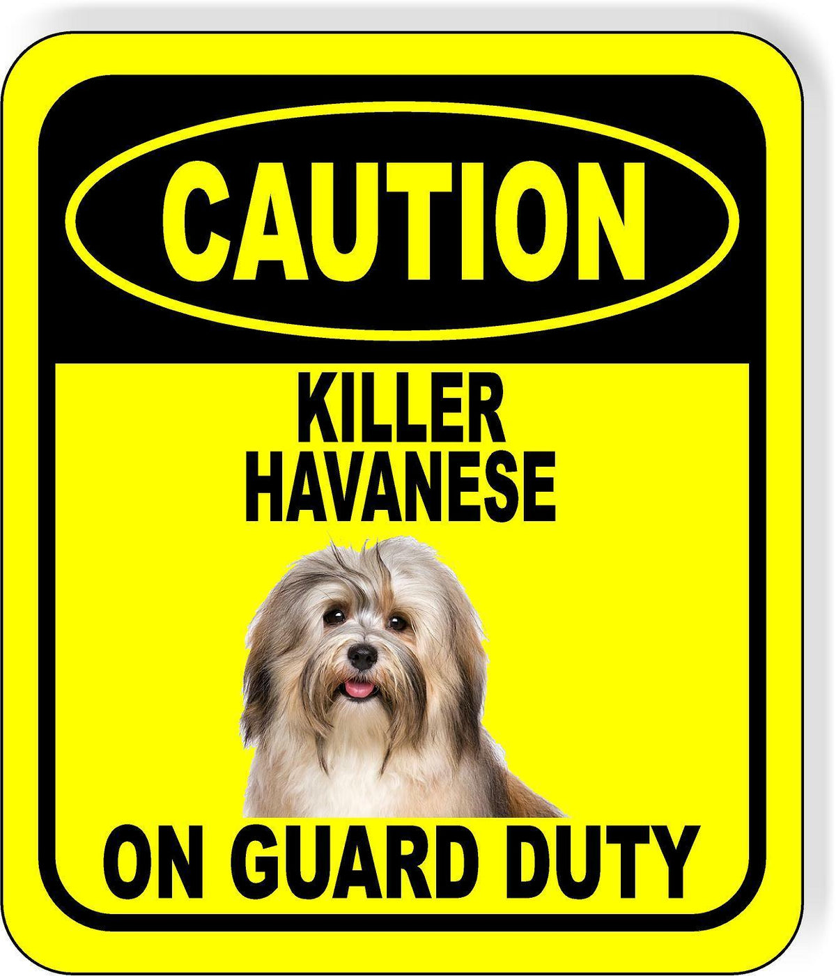 CAUTION KILLER HAVANESE ON GUARD DUTY Metal Aluminum Composite Sign