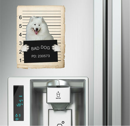 Samoyed Mugshot Bad Dog Fridge refrigerator Car Magnet