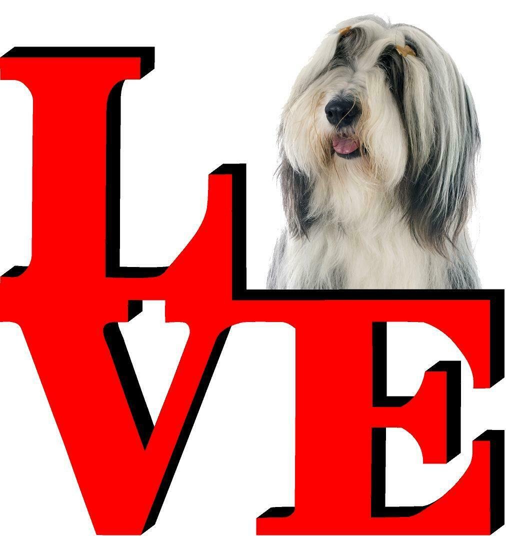 Bearded Collie Love Park Cute Dog Fridge Refrigerator Car Magnet