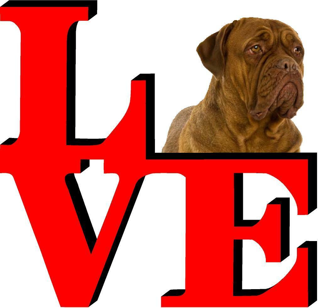 Dogues De Bordeaux Dog Love Park Dog Fridge Refrigerator Car Magnet