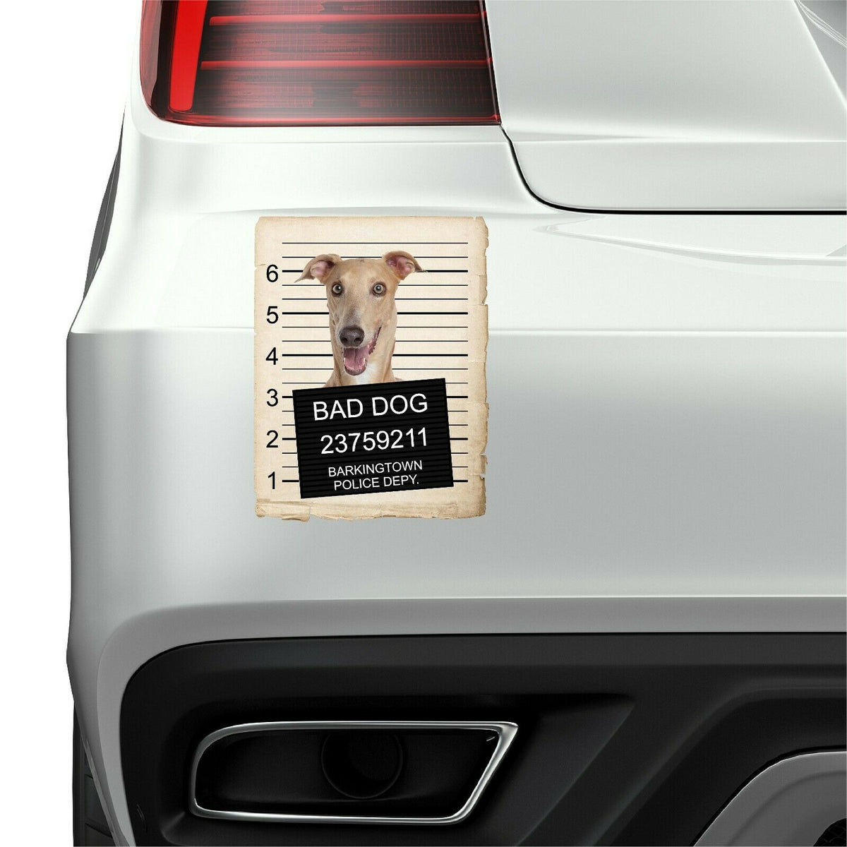 Greyhound Mugshot Bad Dog Fridge refrigerator Car Magnet