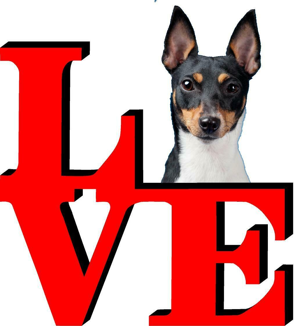Toy Fox Terrier Cute Dog Fridge Refrigerator Car Magnet