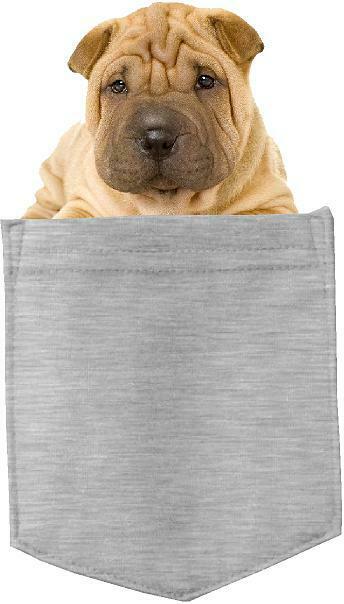 Chinese Shar-pei Dog in pocket Fridge Car Magnet Bumper Sticker App size 4"x7"