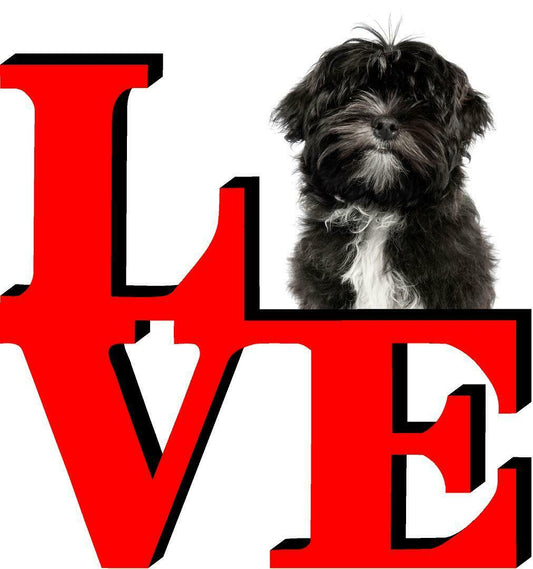 Lhasa Apso Love Park Cute Dog Fridge Refrigerator Car Magnet