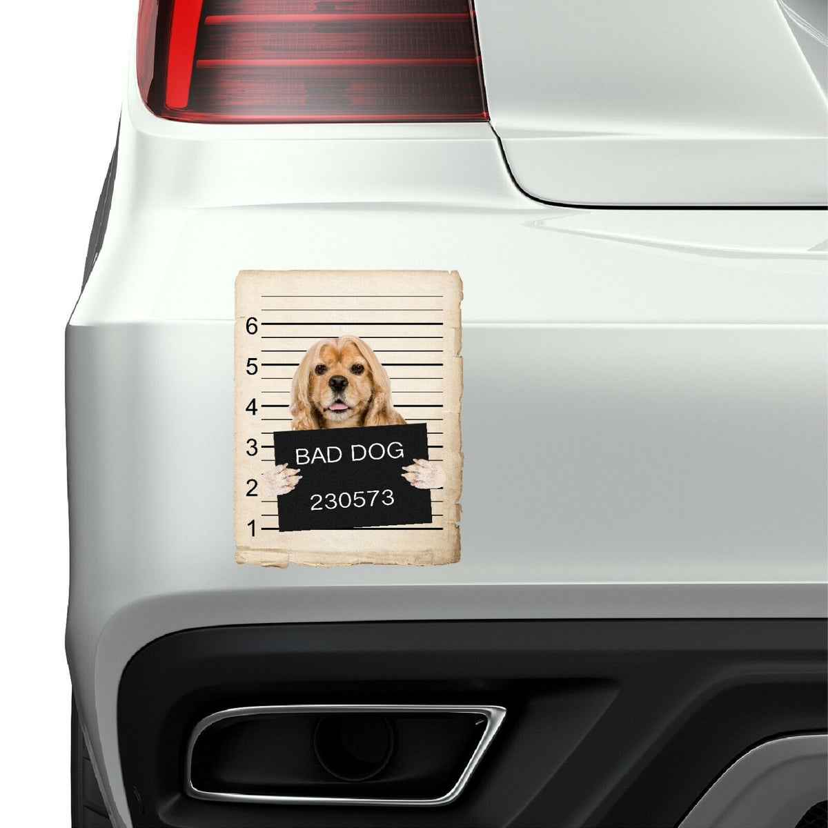 American Cocker Spaniel Mugshot Bad Dog Fridge refrigerator Car Magnet