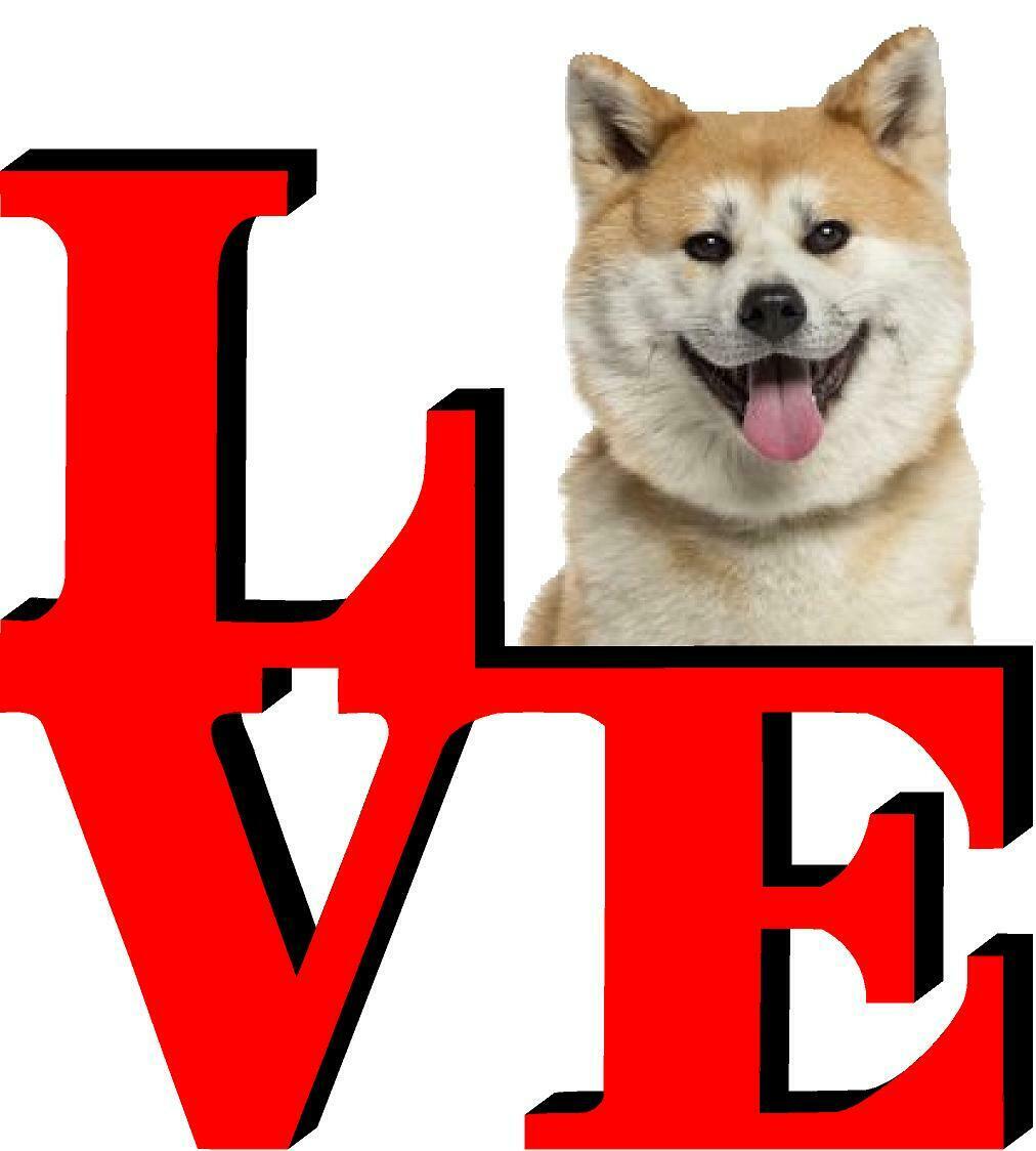 Akita Love Park Cute Dog Fridge Refrigerator Car Magnet