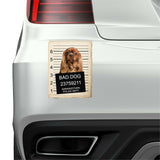Cavalier King Charles Spaniel Mugshot Bad Dog Fridge refrigerator Car Magnet