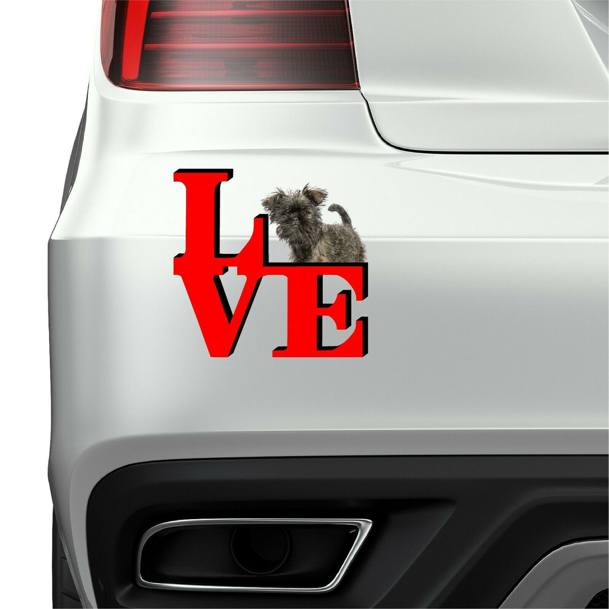 Affenpinscher Love Park Cute Dog Fridge Refrigerator Car Magnet