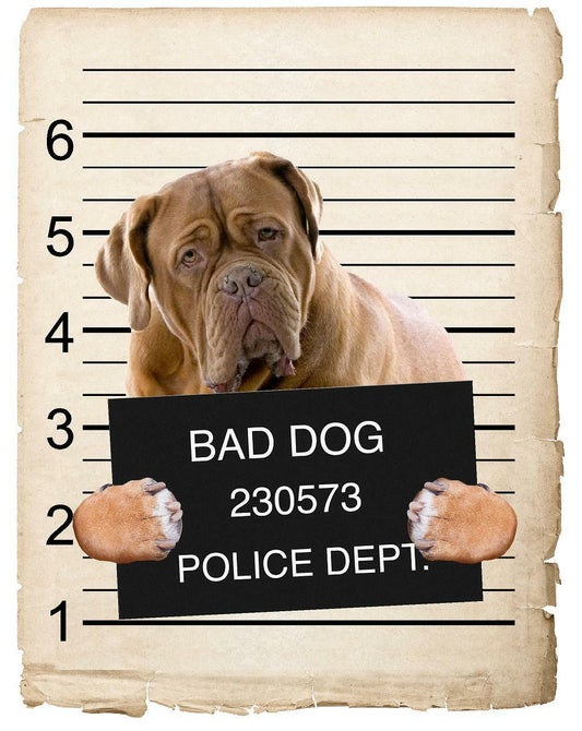 Bull Mastiff Mugshot Bad Dog Fridge refrigerator Car Magnet