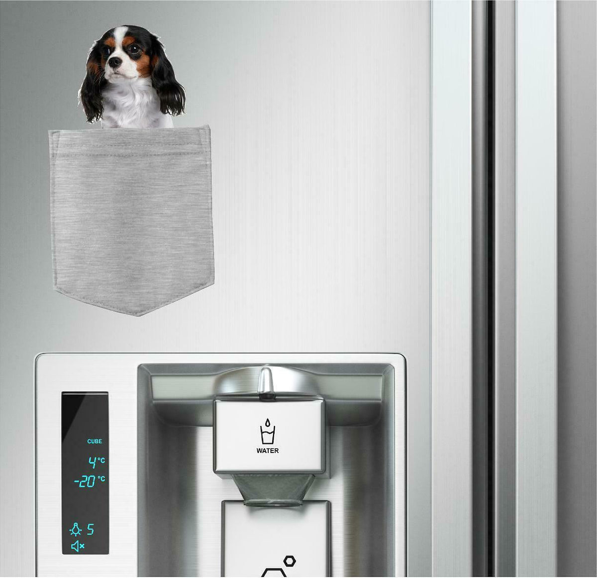 Cavalier King Charles in pocket Fridge Car Magnet Bumper Sticker App size 4"x7"