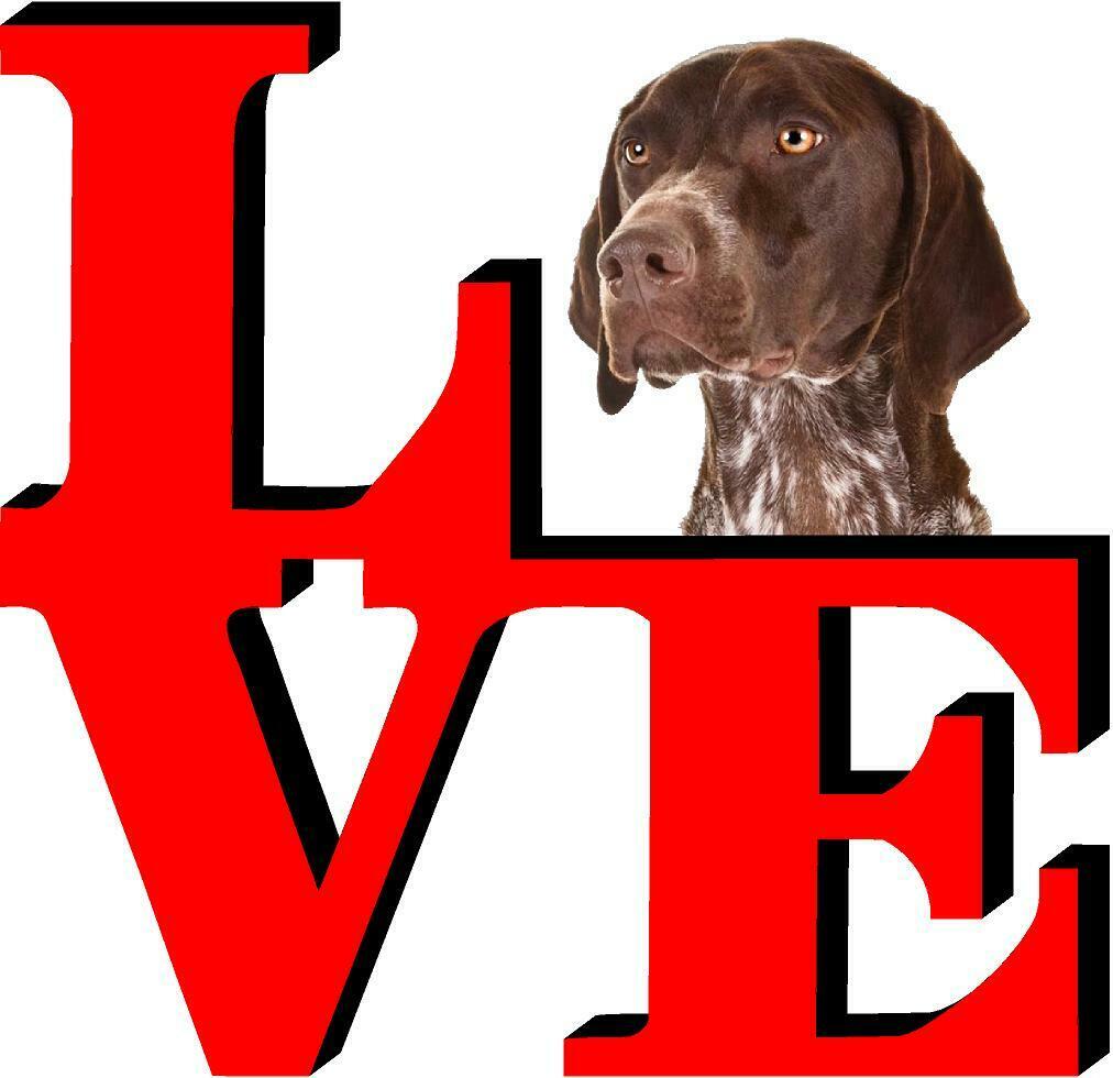 German Shorthair Pointer Dog Love Park Dog Fridge Refrigerator Car Magnet