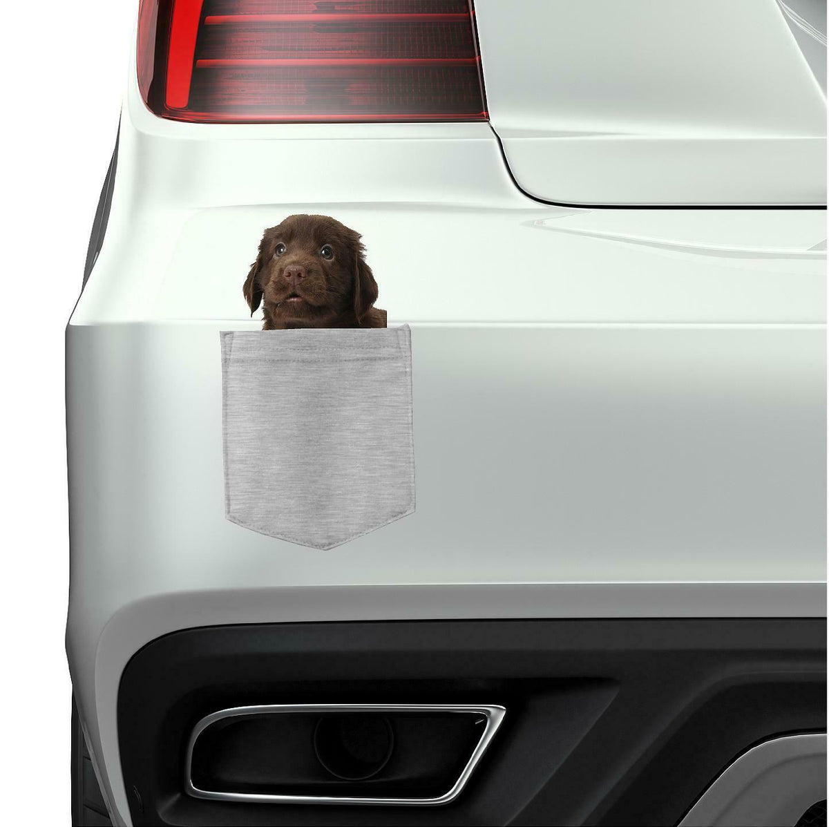 Retriever Flat-Coated in pocket Fridge Car Magnet Bumper Sticker App size 4"x7"
