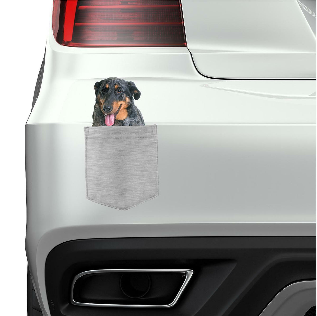 Beauceron Dog in pocket Fridge Car Magnet Bumper Sticker App size 4"x7"