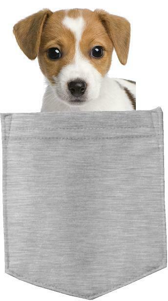 Russell Terrier Dog in pocket Fridge Car Magnet Bumper Sticker App size 4"x7"
