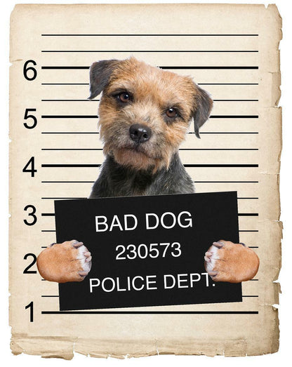 Border Terrier Mugshot Bad Dog Fridge refrigerator Car Magnet
