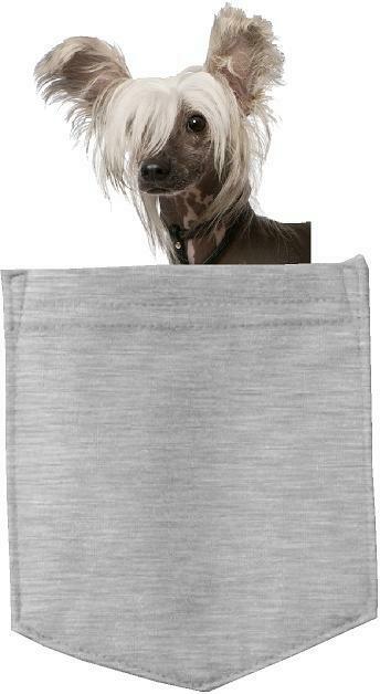 Chinese Crested Dog in pocket Fridge Car Magnet Bumper Sticker App size 4"x7"