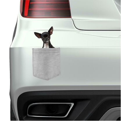 Chihuahua Dog in pocket Fridge Car Magnet Bumper Sticker App size 4"x7"