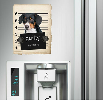 Entlebucher Sennenhund Mugshot Bad Dog Fridge refrigerator Car Magnet