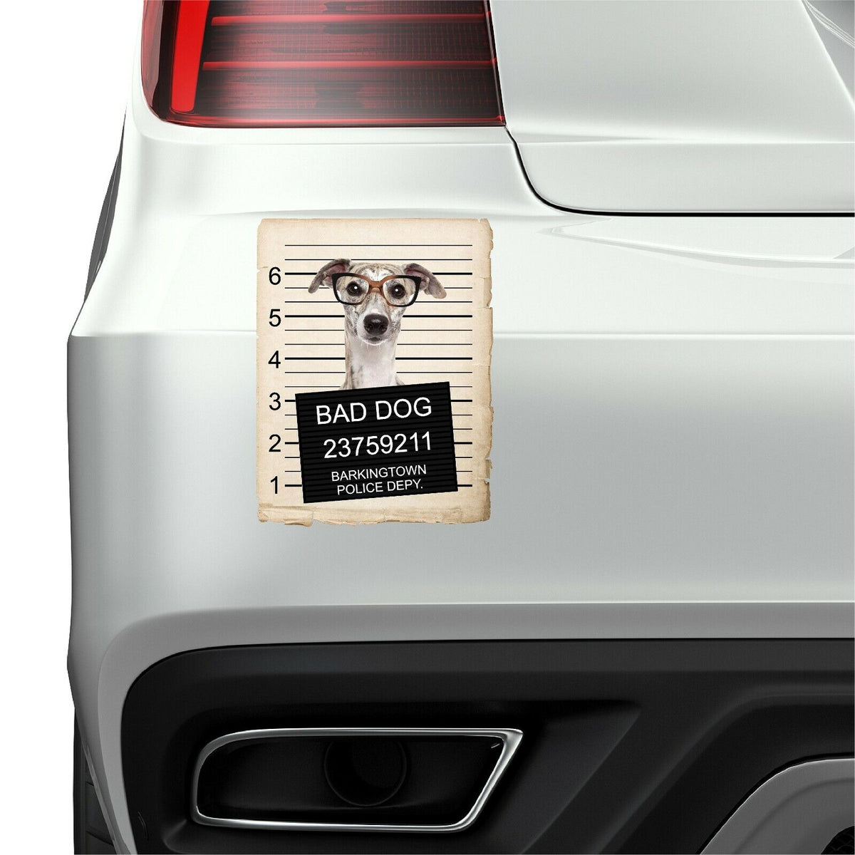 Greyhound with Glasses Mugshot Bad Dog Fridge refrigerator Car Magnet
