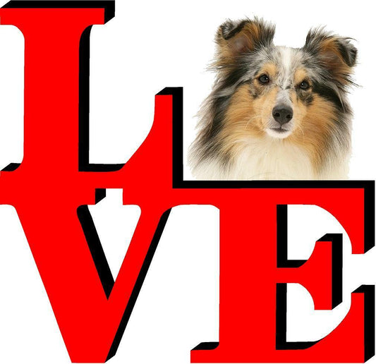 Shetland Sheepdog Cute Dog Fridge Refrigerator Car Magnet