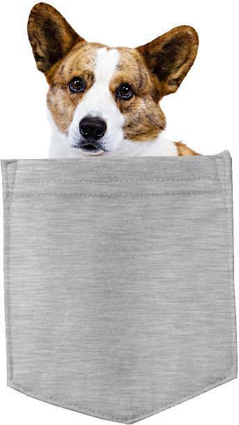 Cardigan Welsh Corgi in pocket Fridge Car Magnet Bumper Sticker App size 4"x7"