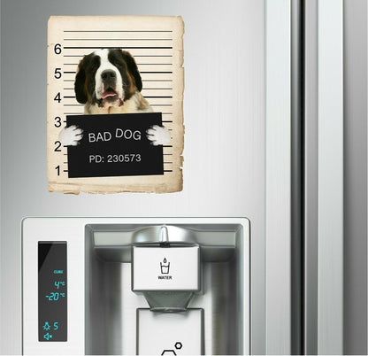 Saint Bernard Mugshot Bad Dog Fridge refrigerator Car Magnet