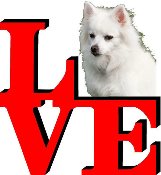American Eskimo Love Park Cute Dog Fridge Refrigerator Car Magnet