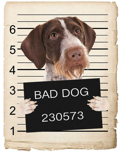 Pointers German Wirehaired Mugshot Bad Dog Fridge refrigerator Car Magnet