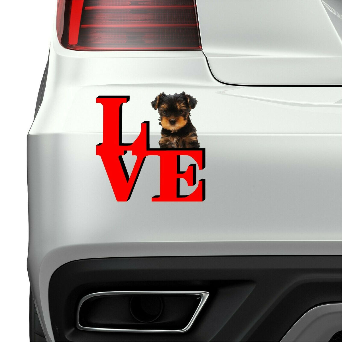 Yorkshire Terrier Love Park Cute Dog Fridge Refrigerator Car Magnet