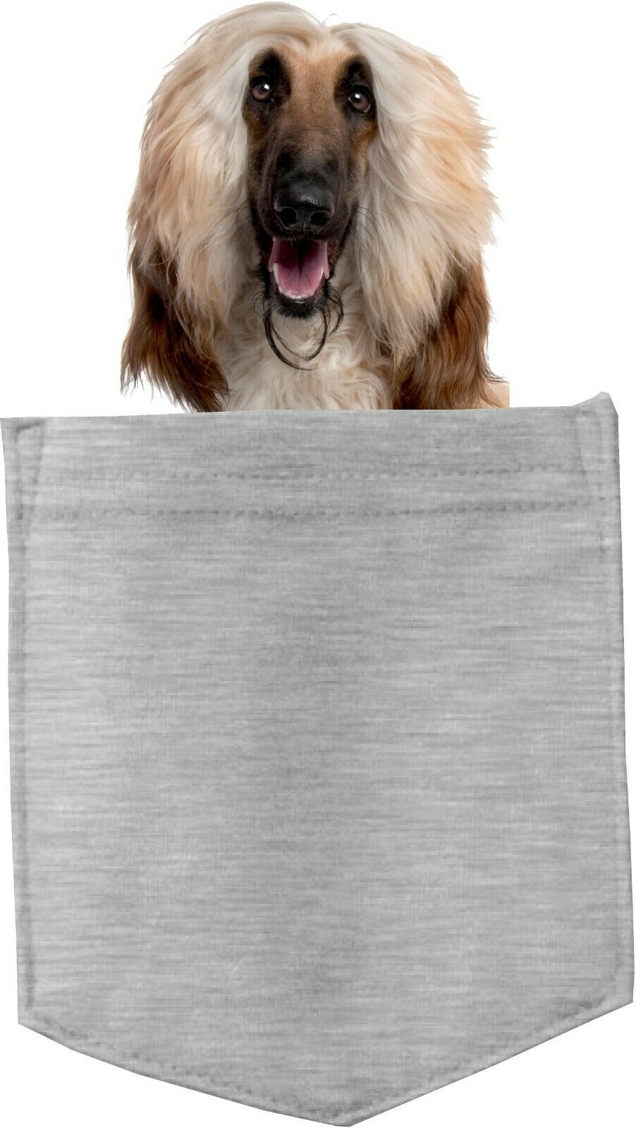 Afghan Hound Dog in pocket Fridge Car Magnet Bumper Sticker App size 4"x7"