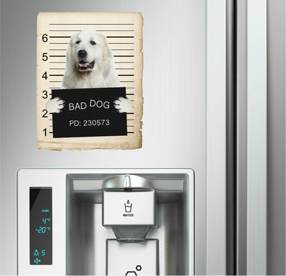 Great Pyrenees Mugshot Bad Dog Fridge refrigerator Car Magnet
