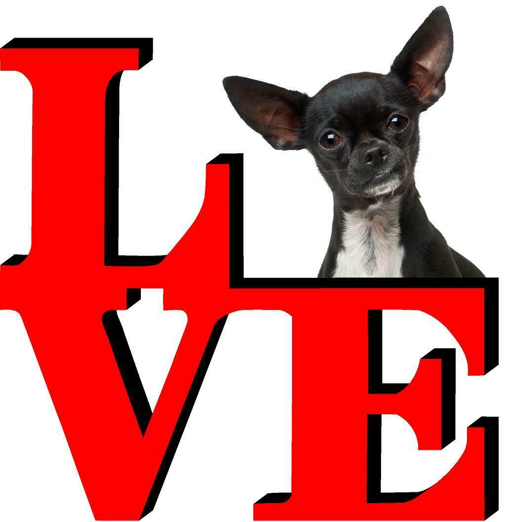 Chihuahua Dog Love Park Dog Fridge Refrigerator Car Magnet