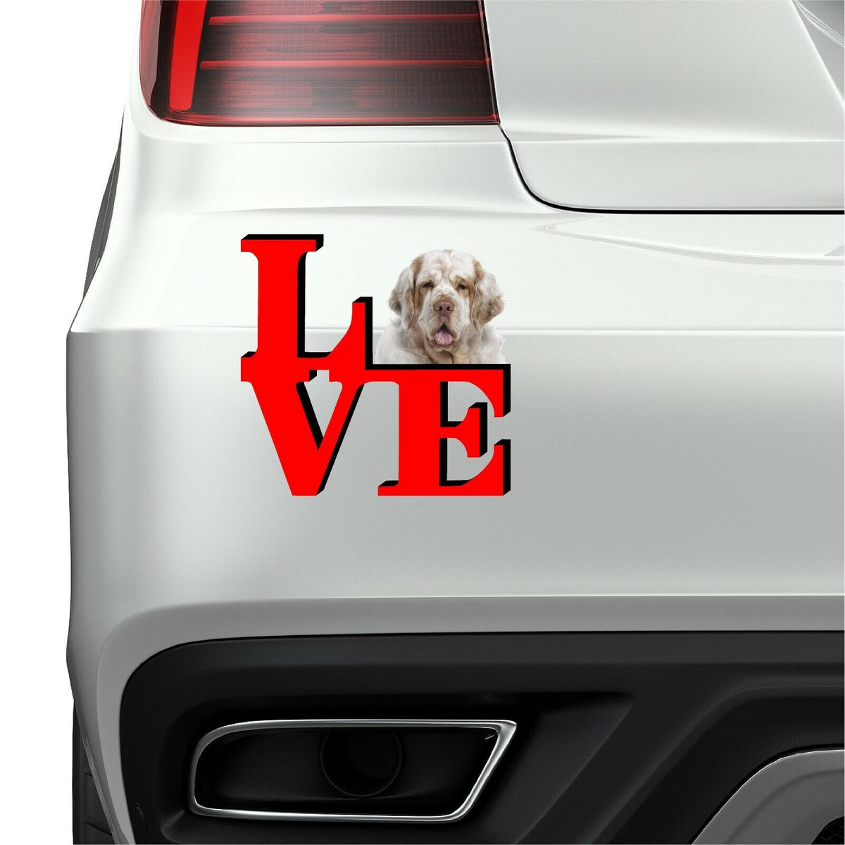 Clumber Spaniel Dog Love Park Dog Fridge Refrigerator Car Magnet