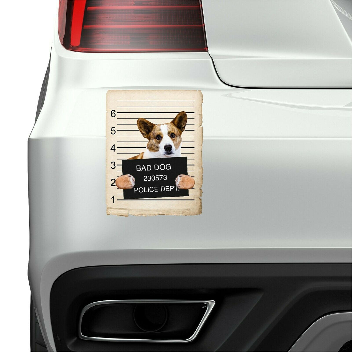 Cardigan Welsh Corgi Mugshot Bad Dog Fridge refrigerator Car Magnet